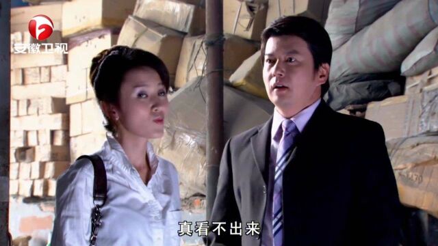 娘家的故事:心机女和心机男联手,搞垮建宏公司,真是臭味相投