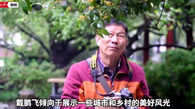 这位73岁老人记录下的一个个瞬间,好暖!“在宁波,看见文明中国”摄影作品征集大赛离截稿还剩10天,抓紧投稿吧!