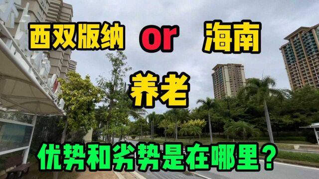 海南和西双版纳那个地方养老更好?优势劣势在哪里?你会选择哪里