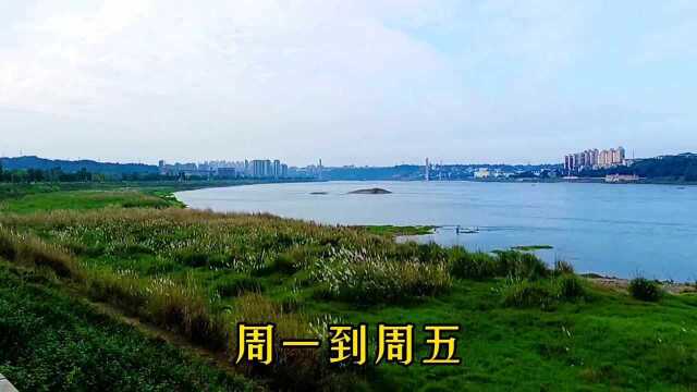 《一路耍ⷩš手拍》 赶紧来看,泸州上周六的阳光和好景,都帮你们收藏好了