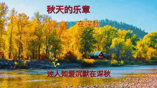 秋天的乐章 之 《在深秋》