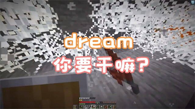 我的世界:dream突然收集起了蜘蛛网,这是要做什么呢