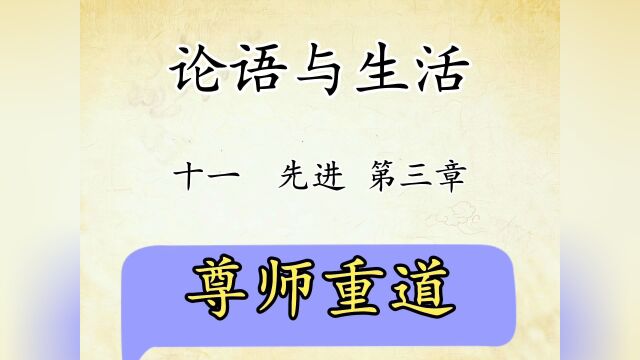 论语与生活十一:先进第03章原文讲解尊师重道,国学传统文化#觉醒年代 #文案