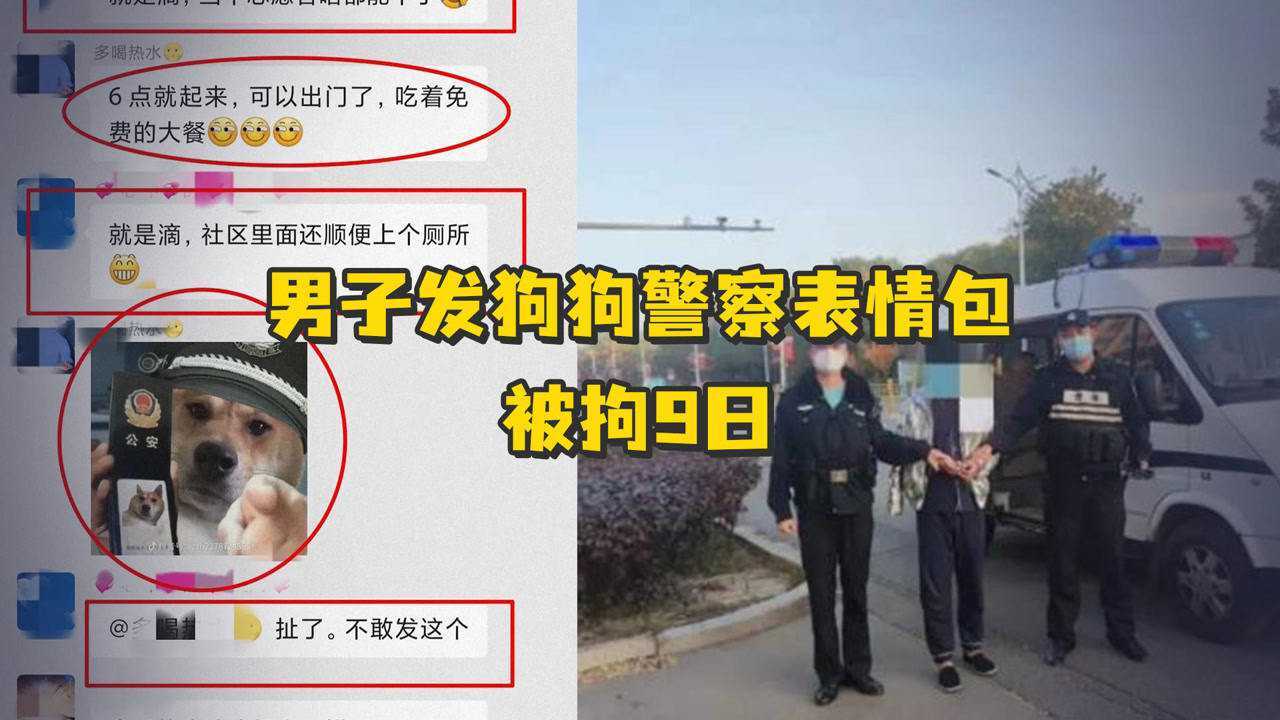 宁夏一男子不满疫情防控发“狗狗警察”表情包,被指辱警拘留9日