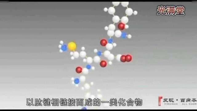 大分子蛋白小分子肽