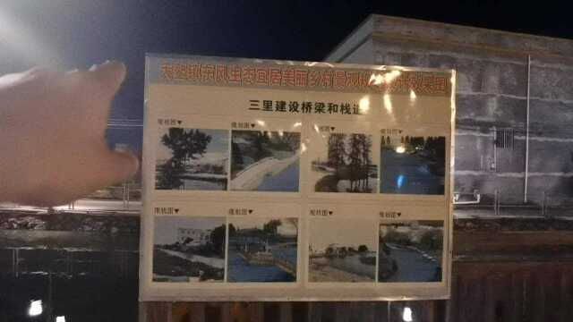 江门市新会区大鳌镇东风村湿地公园