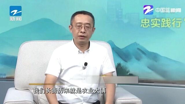 美丽城镇亮靓相:宁波宁海长街镇