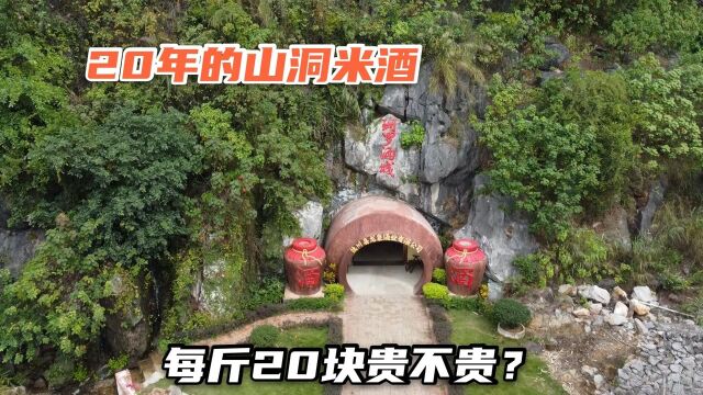 广西老板花1000万在山洞中建酒窖,米酒浓香扑鼻,20块1斤贵吗?