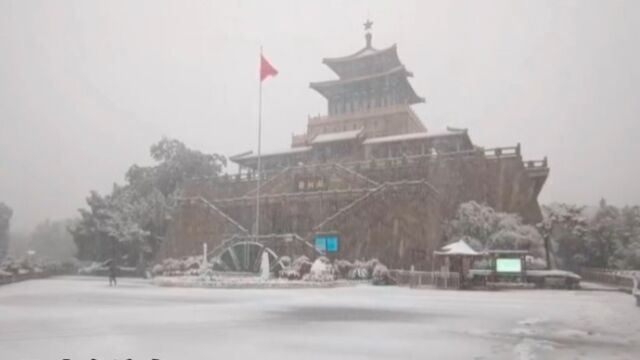 果然视频|拍雪景、打雪仗......济南人初雪的快乐来了