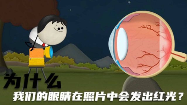 科普小知识:为什么我们的眼睛在照片中会发出红光?