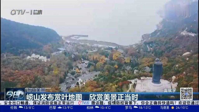 美景正当时!崂山景区发布赏叶地图:山下看红叶山顶看黄叶!