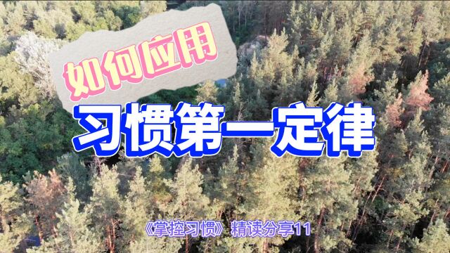 《掌控习惯》精读分享11:如何运用第一定律?4个工具培养好习惯,1个反用技巧改掉坏习惯