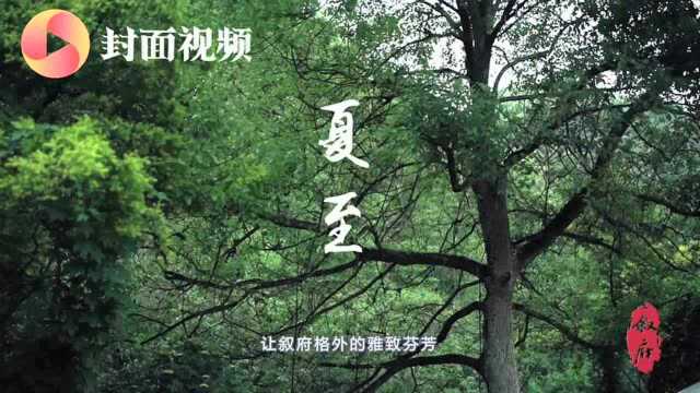 封面鉴酒丨测评“宜宾人的口粮酒”青花叙府大曲