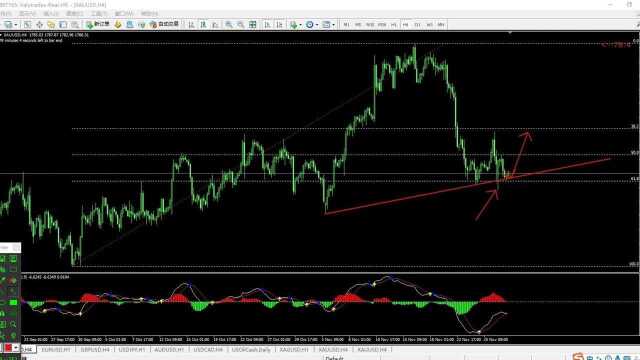 2021.11.30黄金交易策略