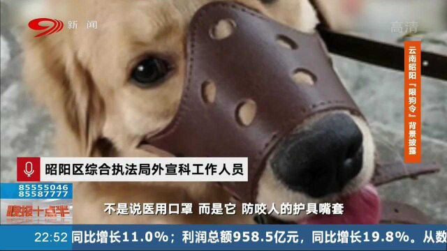 犬只必须要佩戴口罩,限购令背景披露,赶紧看过来