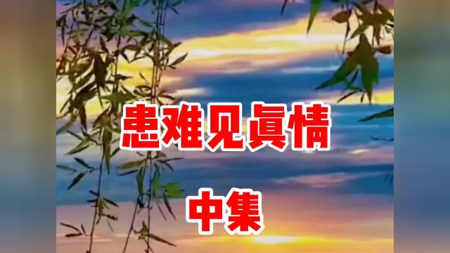 民间故事《患难见真情》中集