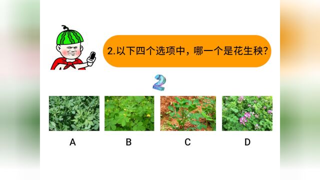 全国植物鉴别统一考试#搞笑