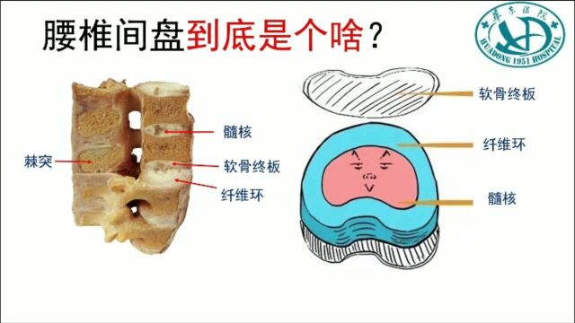 |住院医师科普月月讲|牛春来 爱生活,腰健康