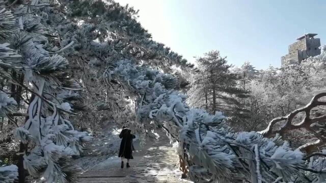 天堂寨雪景引来众多游客打卡