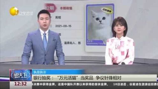 广东:孰是孰非!银行抽奖:“万元活猫”当奖品,争议针锋相对