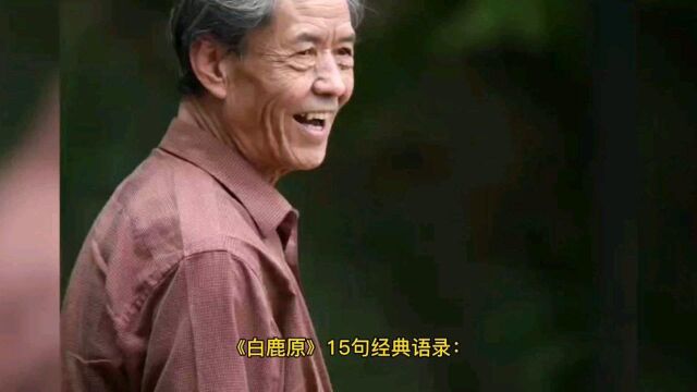 《白鹿原》经典语录