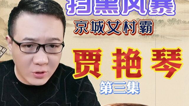 扫黑故事:贾艳琴为保利益,竟然当街殴打办案人员,事后安然无恙