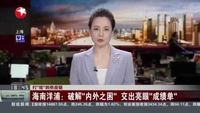 打“结”的供应链:海南洋浦——破解“内外之困” 交出亮眼“成绩单”