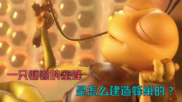 一只慵懒的蜜蜂,是怎么建造蜂巢的?搞笑动画《筑巢》