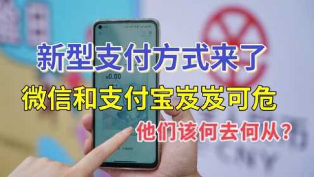 新型支付方式来了,用户破1.4亿,微信支付宝该何去何从?