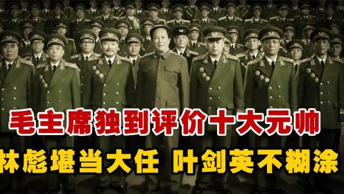 毛泽东对十大元帅的评价：林彪这娃娃堪当大任，叶剑英大事不糊涂