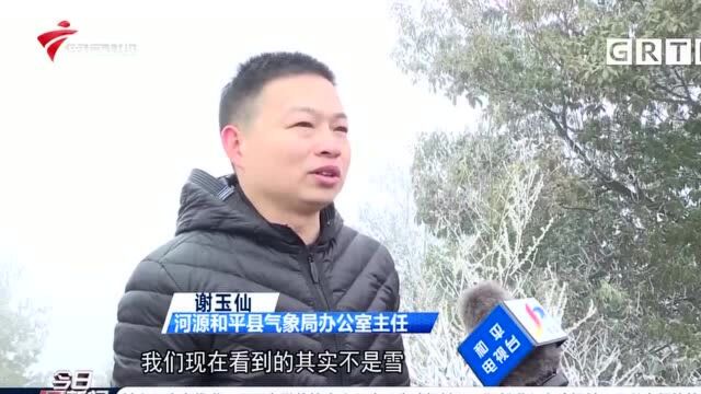 寒潮 韶关始兴:气温降至零下 高寒山区现雾凇冰挂