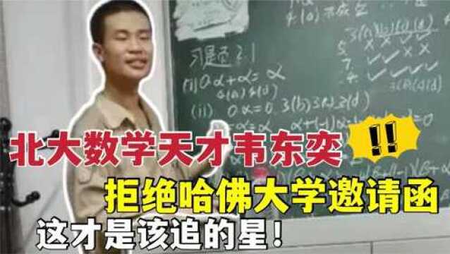 “数学天才”韦东奕,拒绝哈佛坚决回国,30岁成为北大教师