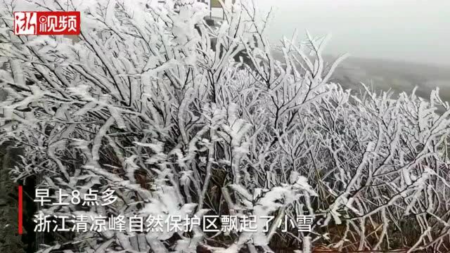 2022年的第一场雪来了!这里已经白茫茫一片…