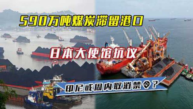 590万吨煤炭滞留港口,日本大使馆抗议,印尼或周内取消禁令?