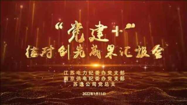 “党建+”结对创先成果汇报会