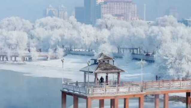 人民日报英文版观长白之吉林雾凇《A frozen wonderland in Jilin》