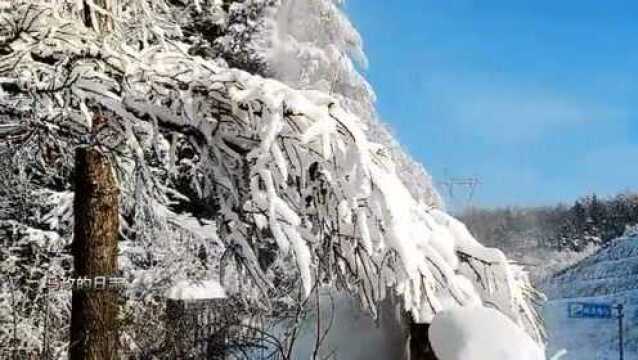 太白秦岭梁上,山舞银蛇,呈现出雪后初晴的人间仙境