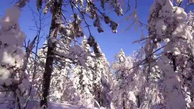 黑龙江迎冬奥网络宣传片|冰雪之冠黑龙江 燃情助力冬奥会