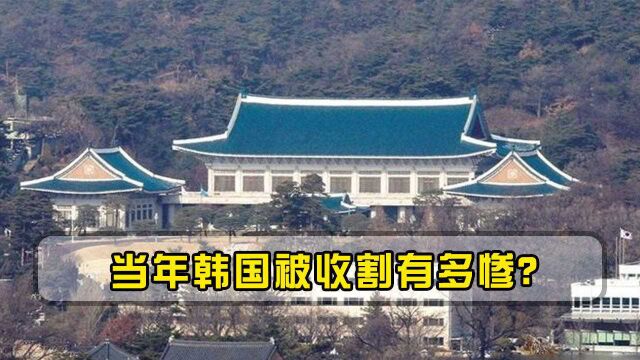 当年韩国被收割有多惨?八大银行全被美国控制,青瓦台也无能为力