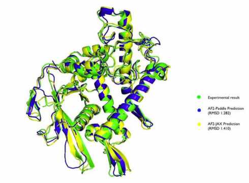 AI+Science:基于飞桨的AlphaFold2,带你入门蛋白质结构预测