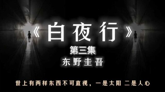 白夜行:东野圭吾巅峰之作,从未同情过这样的杀人犯,亮司彻底成为雪穗的影子!