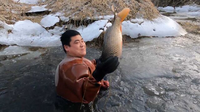 抽水机大战河道,狂抽5小时破开冰层不淡定了,大板鲫金黄金黄的