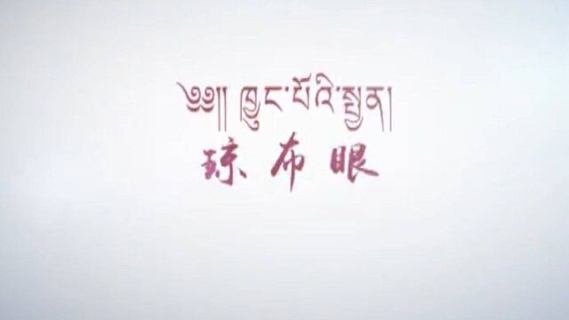 丁青县开展新时代文明实践活动之“三下乡”暨文化进万家活动