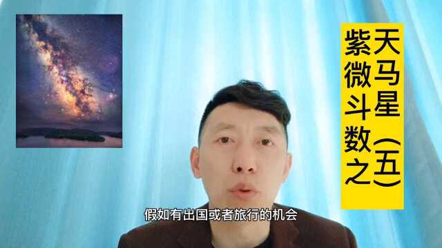 天马星(五)