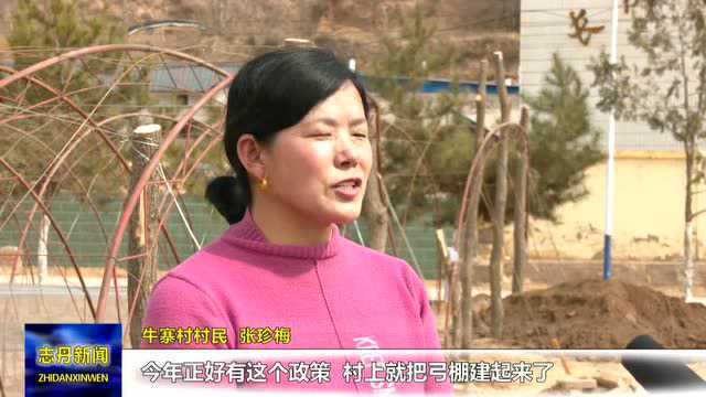 志丹县 | 杏河镇牛寨村:积极探索产业发展新模式 让村民过上好光景