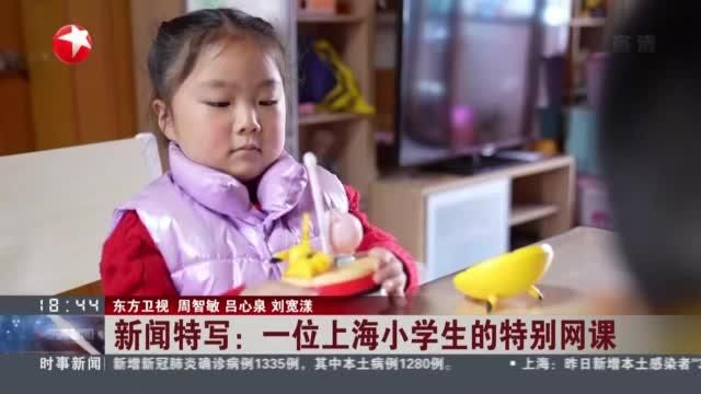 新闻特写:一位上海小学生的特别网课