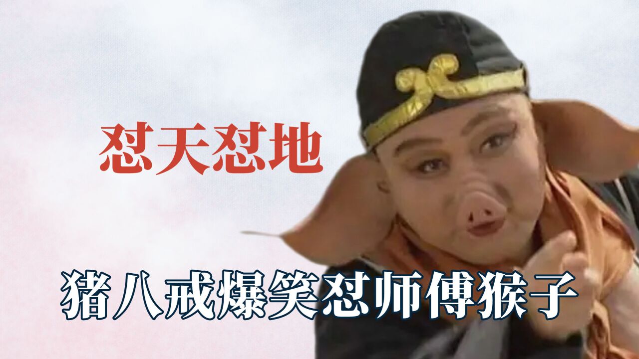 猪八戒怼人爆笑名场面,怼的孙悟空哑口无言,就连沙师弟都不放过