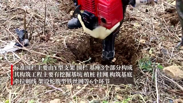 【维和力量】中国第20批赴黎维和建筑工兵分队 | 中国第9批赴马里维和医疗分队