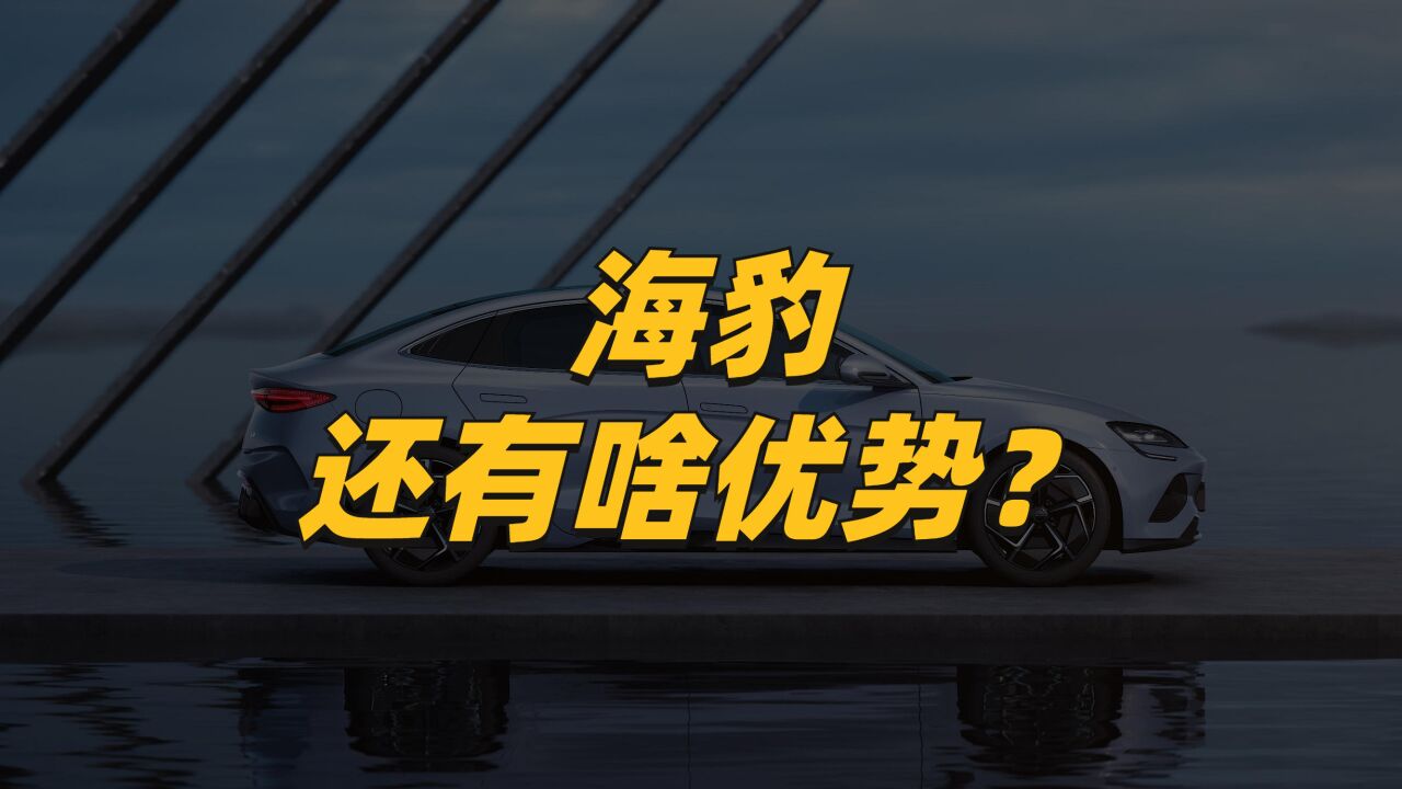 听说你们对海豹又失望了?它到底还有啥优势