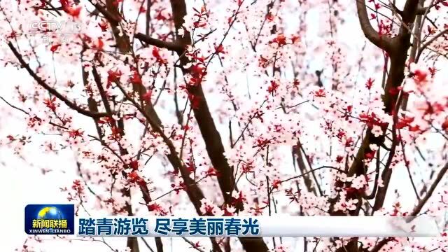 又上央视!《新闻联播》关注达州城市公园建设